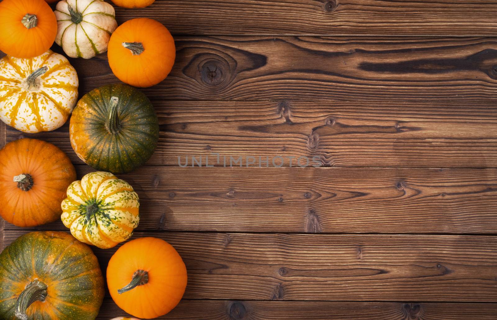Many orange pumpkins on dark wooden background, Halloween concept, top view with copy space