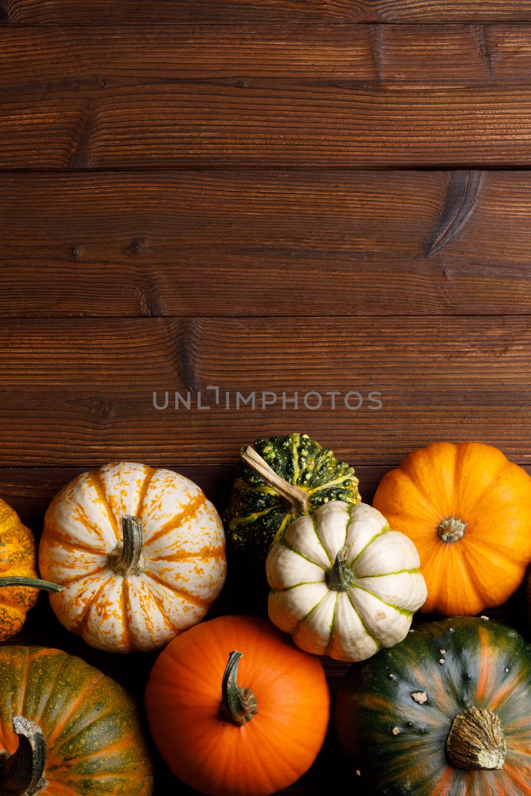 Many orange pumpkins on dark wooden background, Halloween concept, top view with copy space