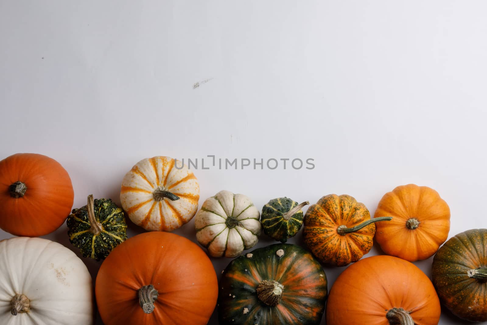 Many orange pumpkins on white background , Halloween concept , top view with copy space