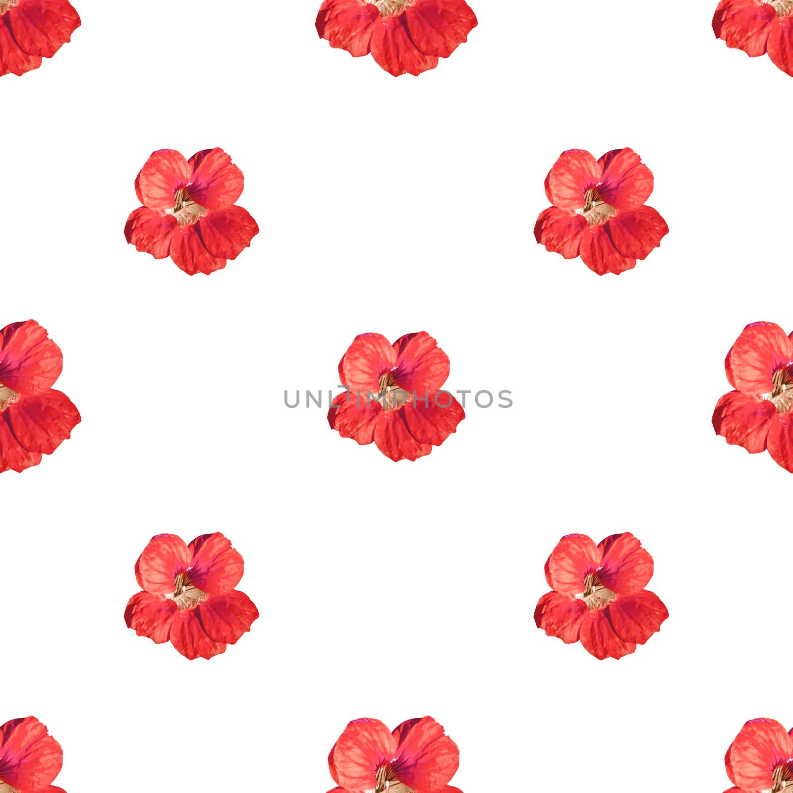 Beauty Flowers Motif Seamless Pattern by DanFLCreative