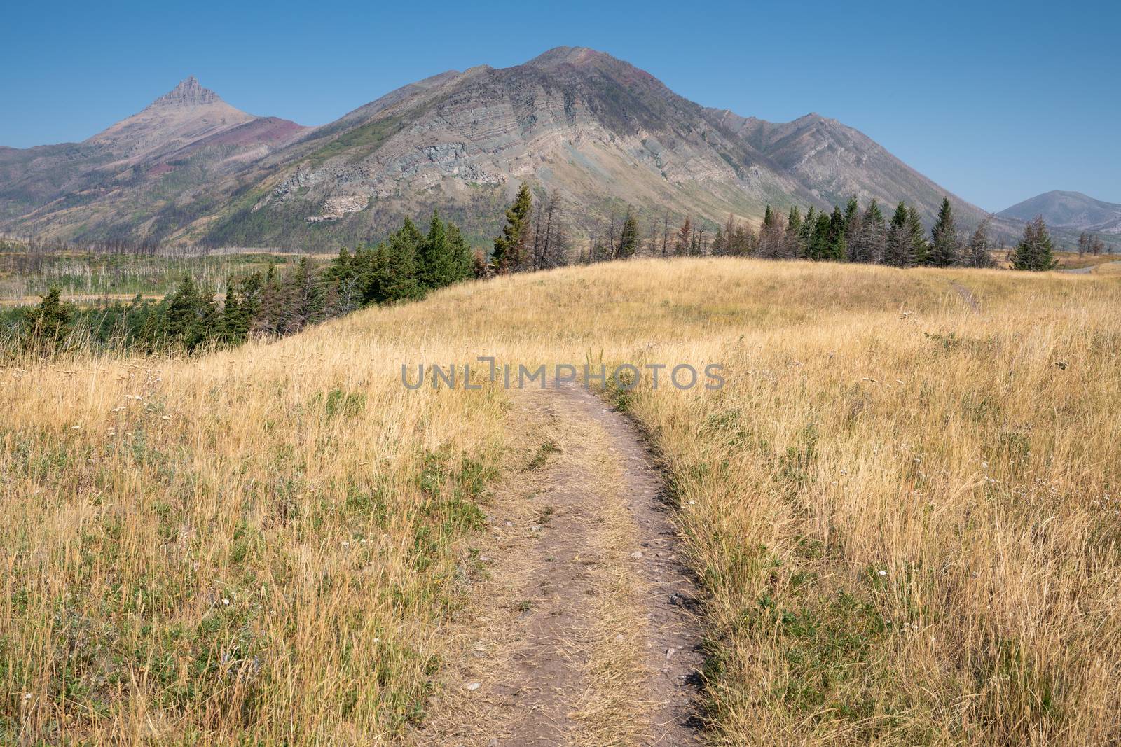 Waterton lake, Landscape of the Waterton Lakes National Park with blue sky, Alberta, Canada