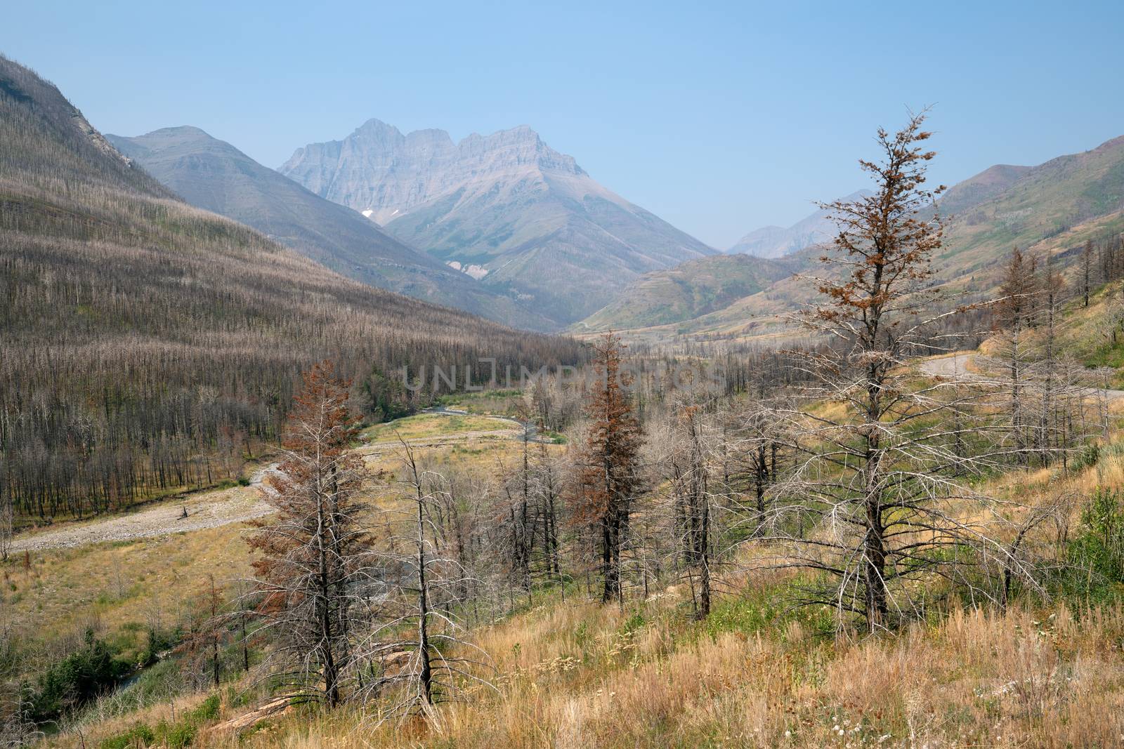 Waterton lake, Landscape of the Waterton Lakes National Park with blue sky, Alberta, Canada