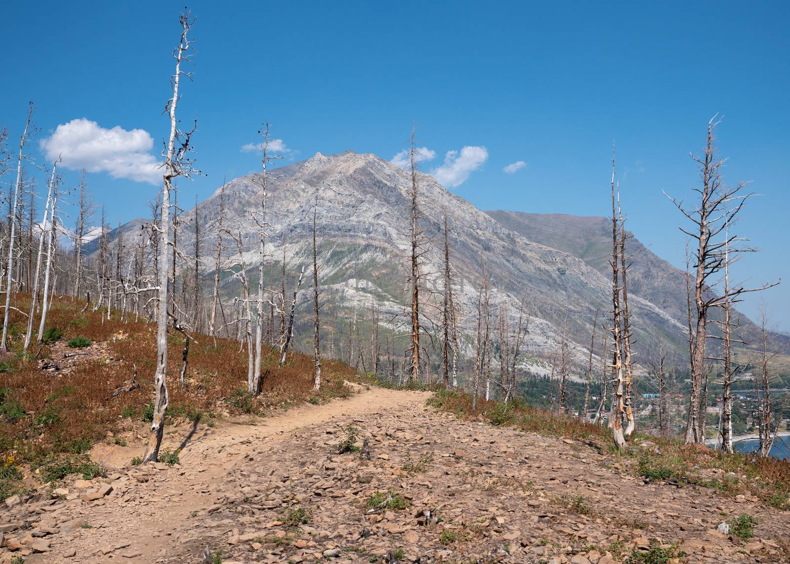 Waterton Lakes National Park, Alberta, Canada by alfotokunst