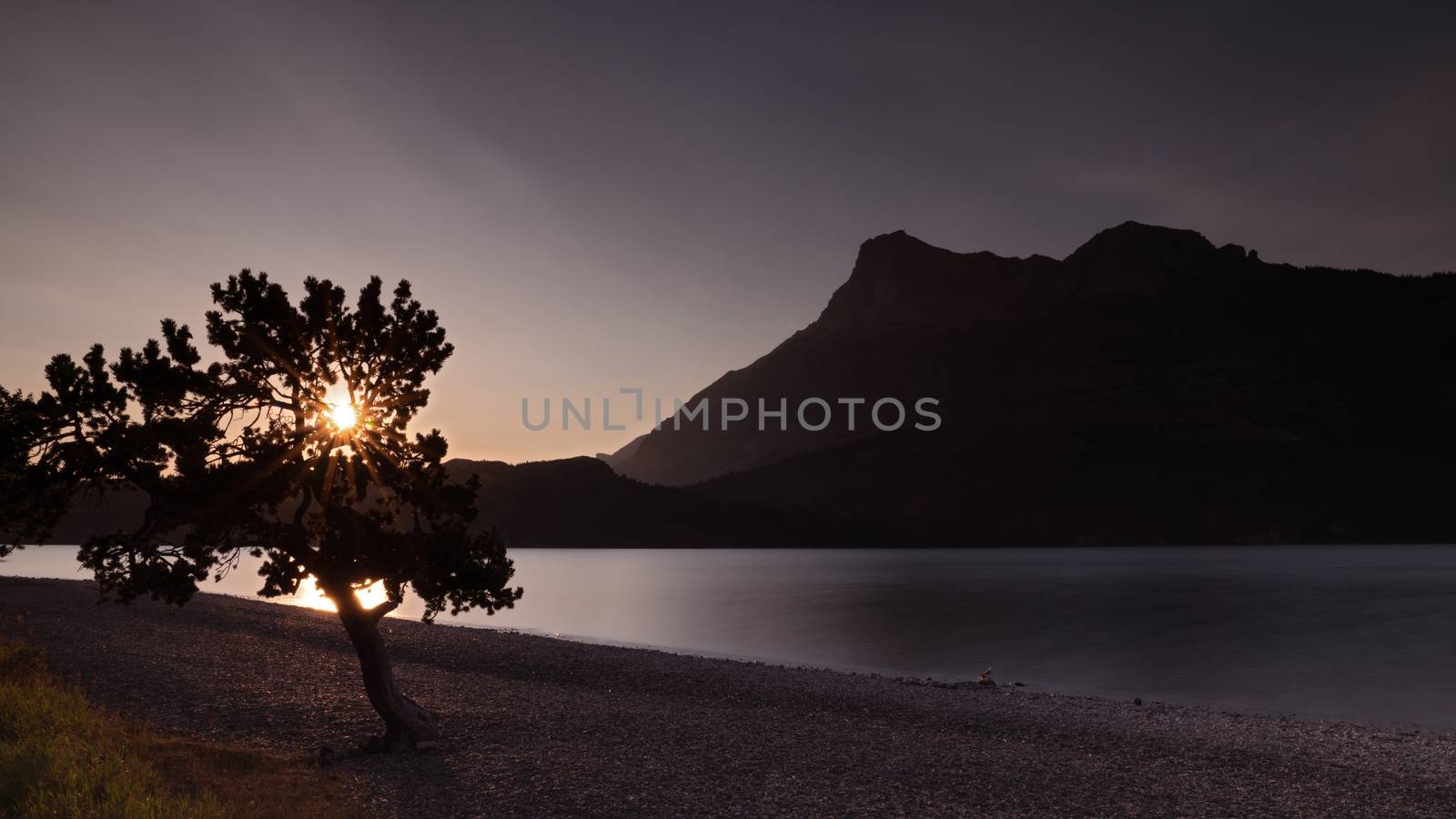 Panoramic image of the Waterton Lake at sunrise, Waterton Lakes National Park, Alberta, Canada