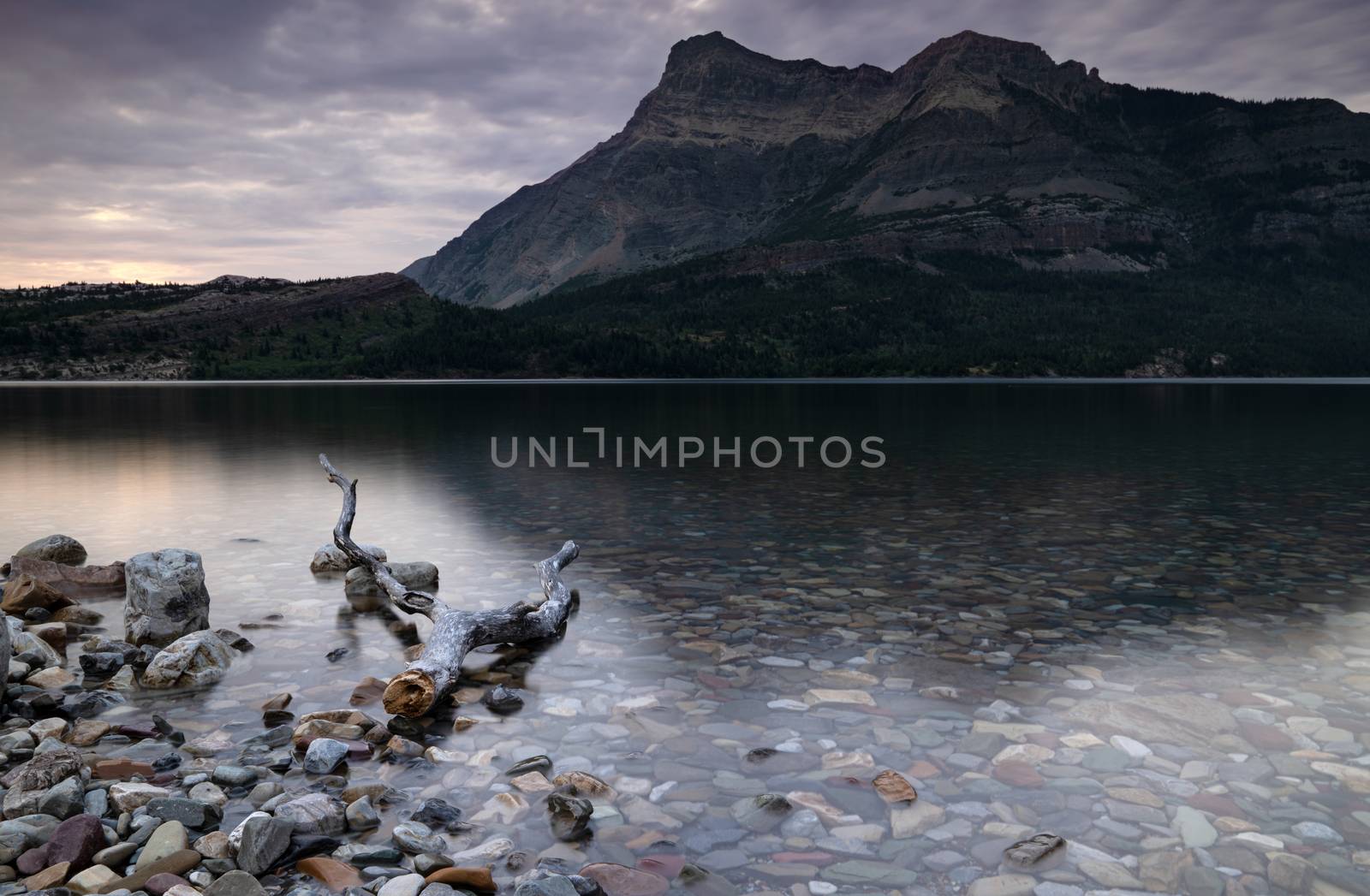 Panoramic image of the Waterton Lake at sunrise, Waterton Lakes National Park, Alberta, Canada