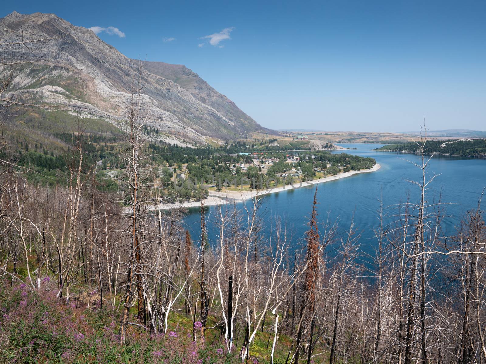 Waterton lake, Landscape of the Waterton Lakes National Park with blue sky, Alberta, Canada