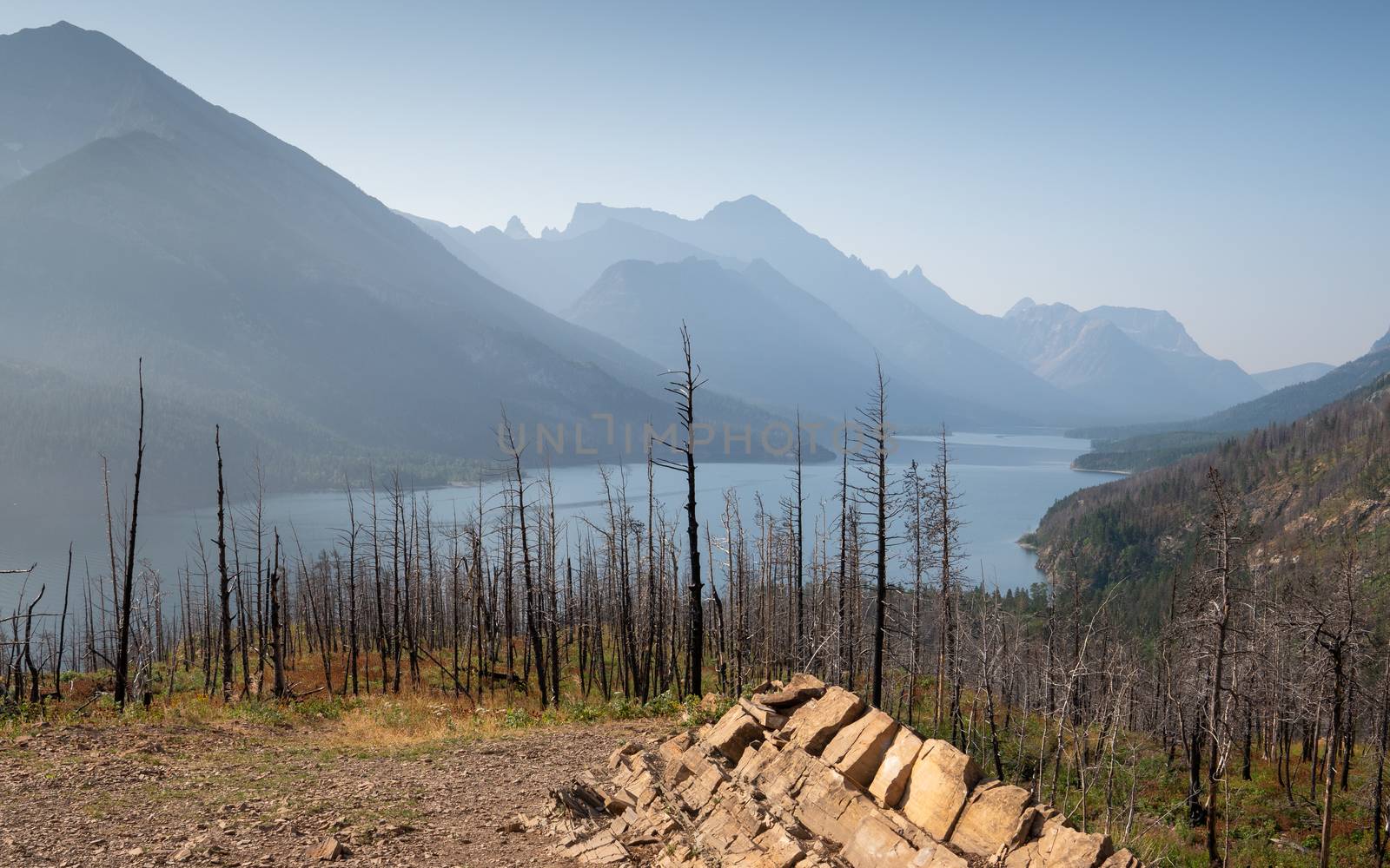 Waterton lake, Landscape of the Waterton Lakes National Park with blue sky, Alberta, Canada