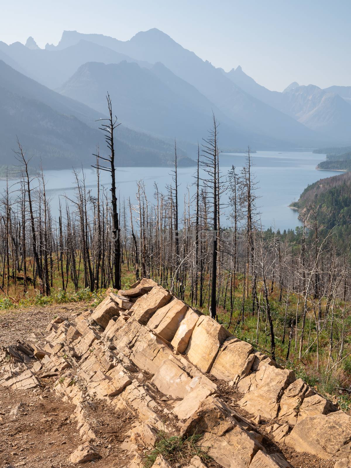 Waterton lake, Landscape of the Waterton Lakes National Park with blue sky, Alberta, Canada