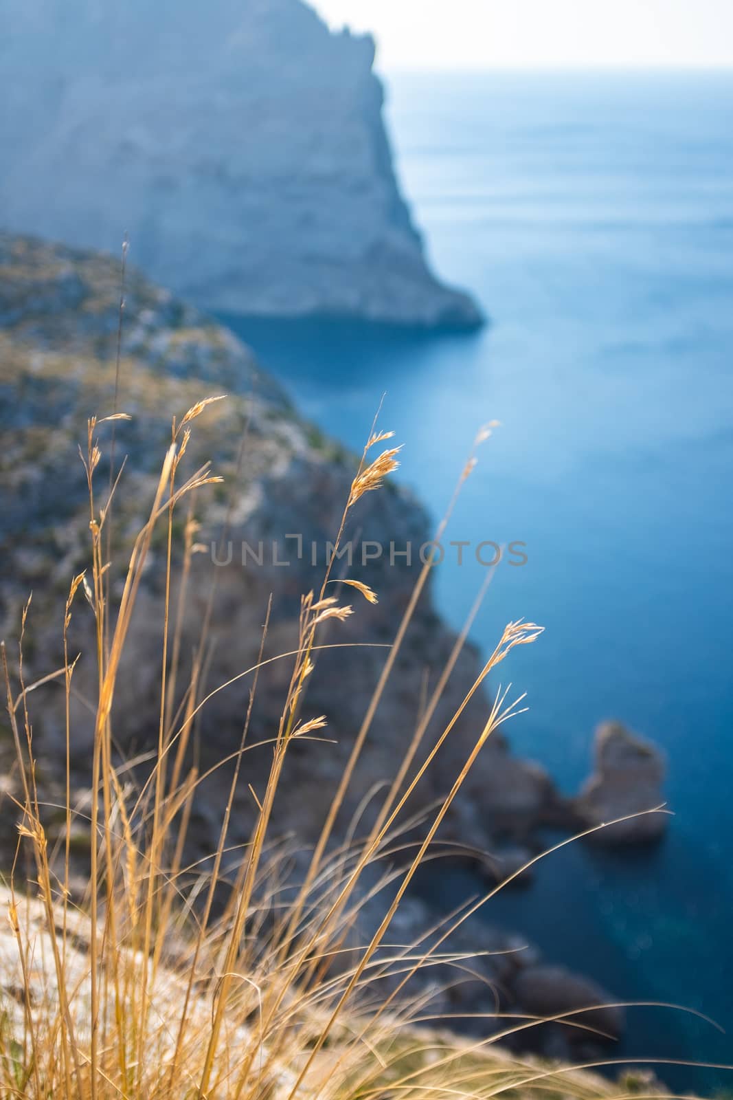 Dramatic Cliffs By The Mediterranean Sea In Mallorca, Spain With Grass In The Foreground