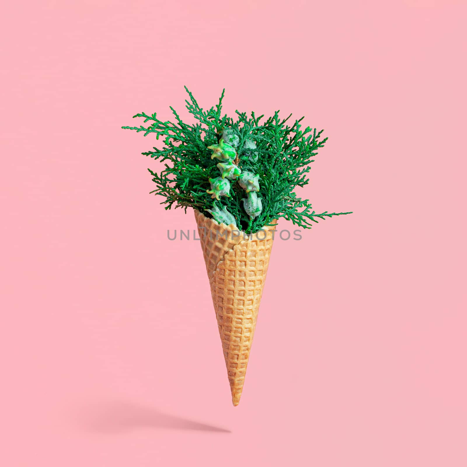 Bouquet of cypress branches in ice cream cone by fascinadora