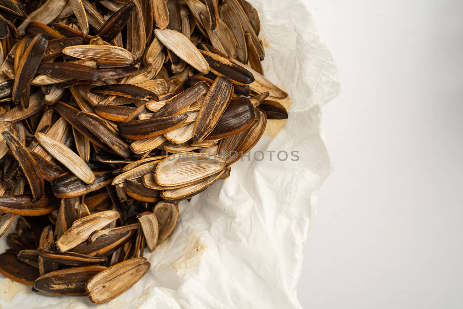 The Sunflower seed shells. Background empty Sunflower seed shells
