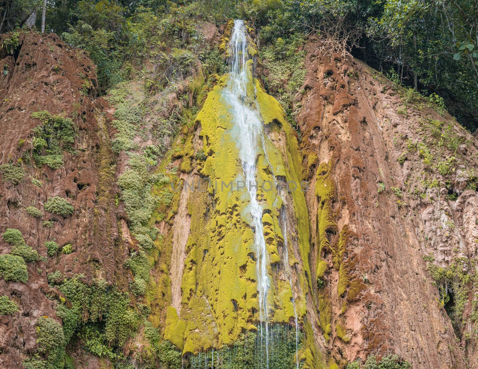 Close up of the wonderful El Limon tropical waterfall with lots of moss and steaming water, seen from below the waterfall in the Dominican Republic of the Samaná peninsula.