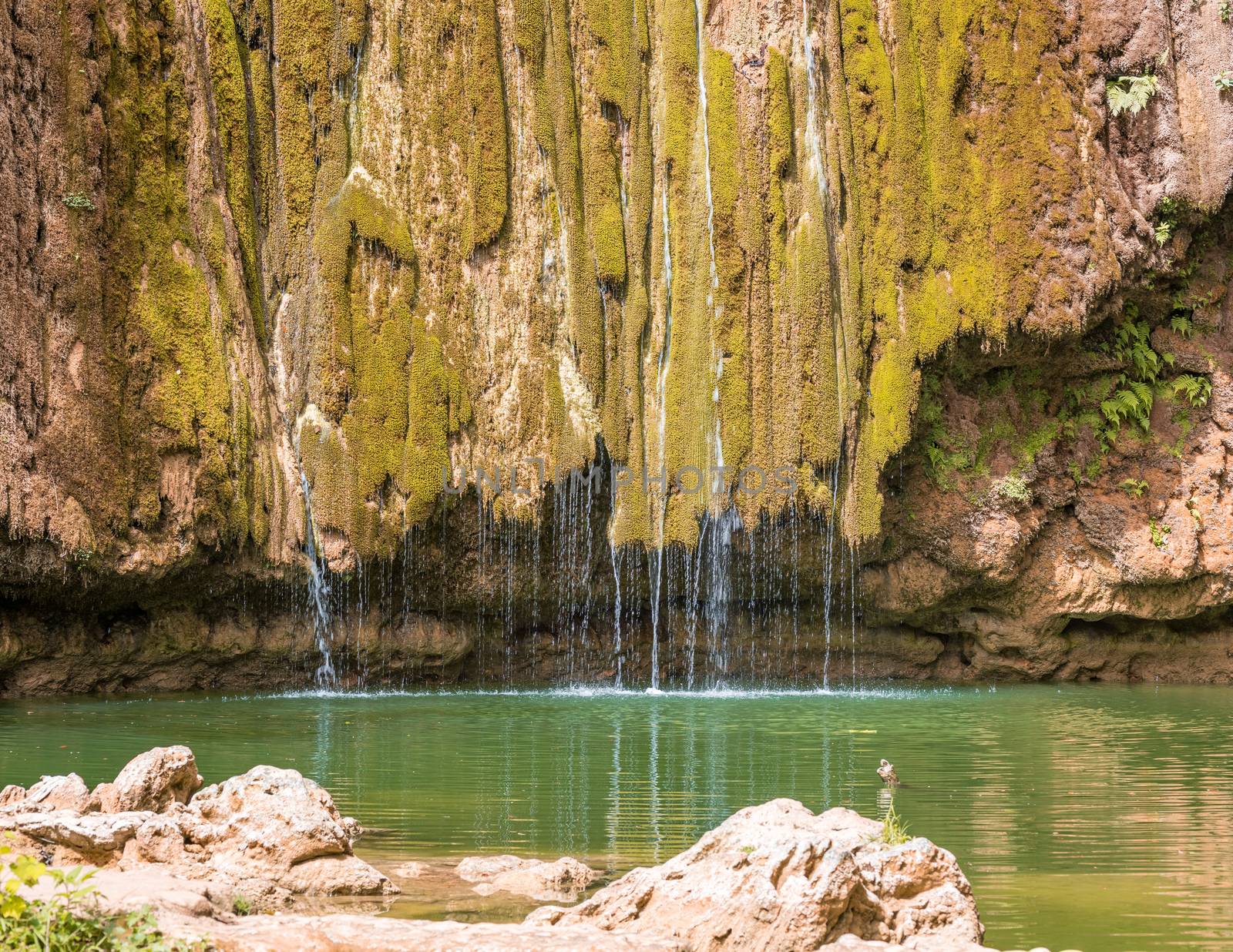 Beautiful close up view of El Limon tropical waterfall with lots of moss and steaming water, front view of the final part of the waterfall located in the Dominican Republic of the Samaná peninsula.