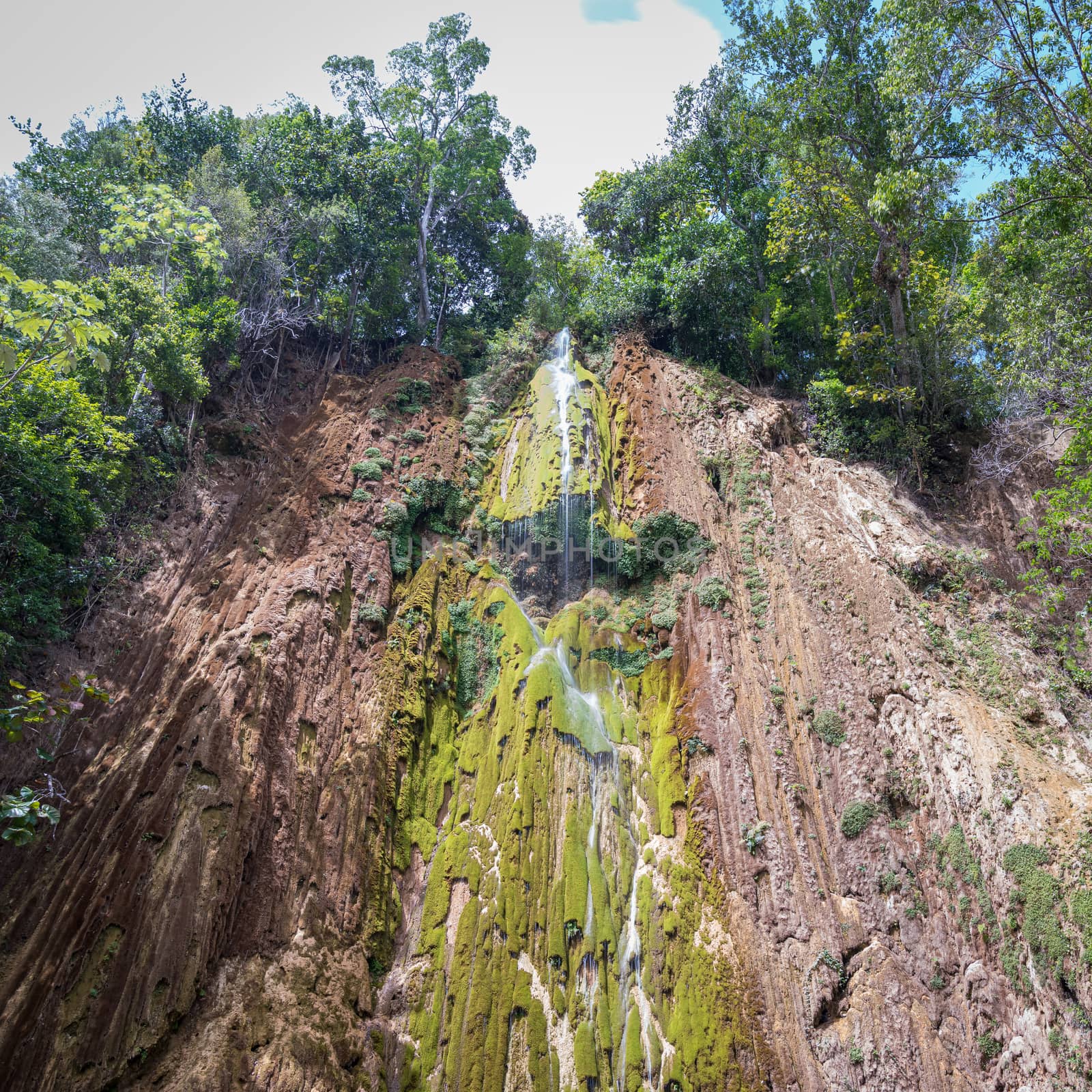 Close up of the wonderful El Limon tropical waterfall with lots of moss and steaming water, seen from below the waterfall in the Dominican Republic of the Samaná peninsula.