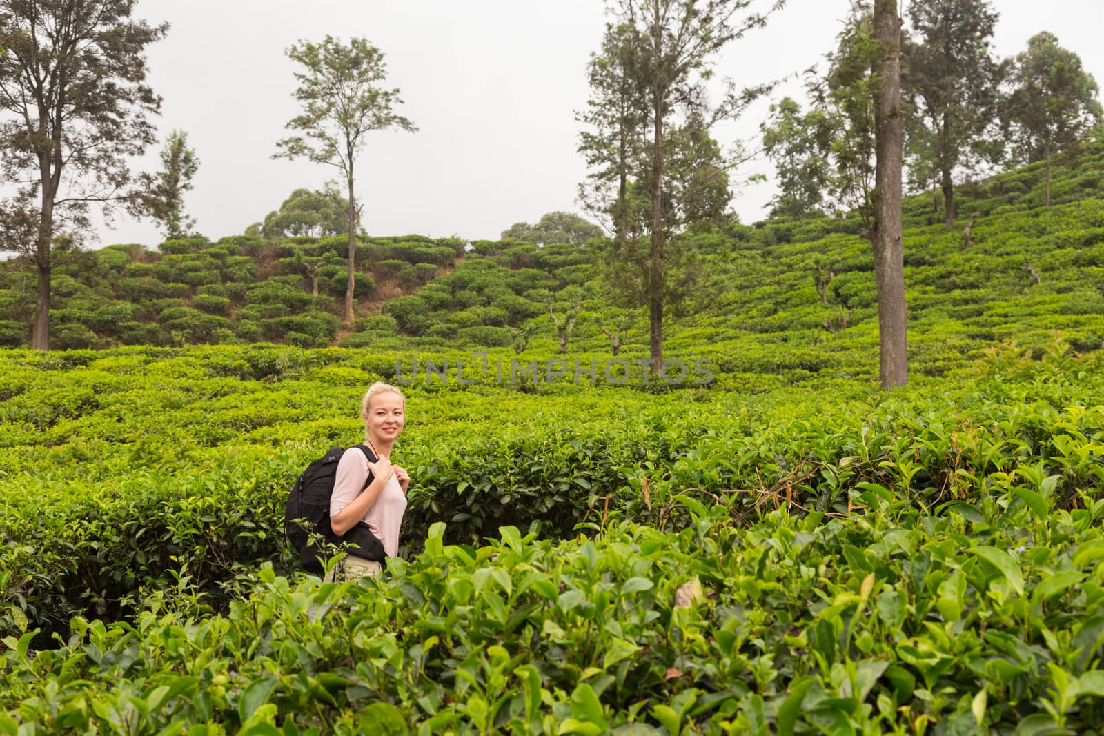 Active caucasian blonde woman enjoing fresh air and pristine nature while tracking among tea plantaitons near Ella, Sri Lanka. Bacpecking outdoors tourist adventure.