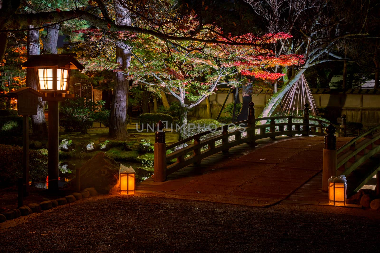 illuminated bridge in Kenrokuen garden during the red maple leaf season (momijigari), Kanazawa city, Ishikawa prefecture, Japan
