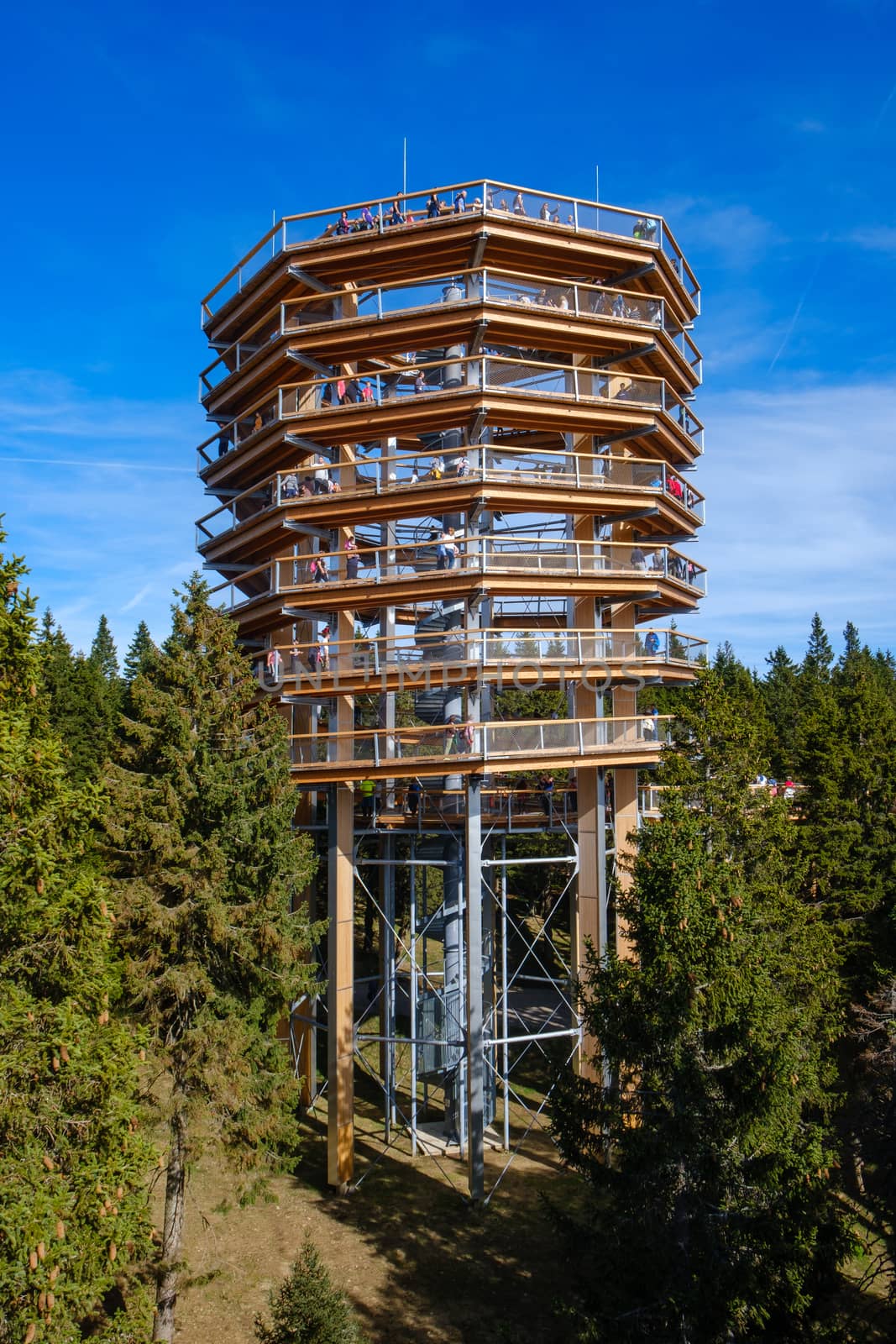 Forest canopy tower and walkway, footpath above treetops, outdoor adventure on Rogla, Slovenia