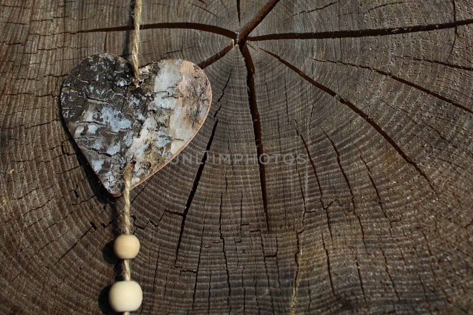 The picture shows a wooden heart on a tree trunk.