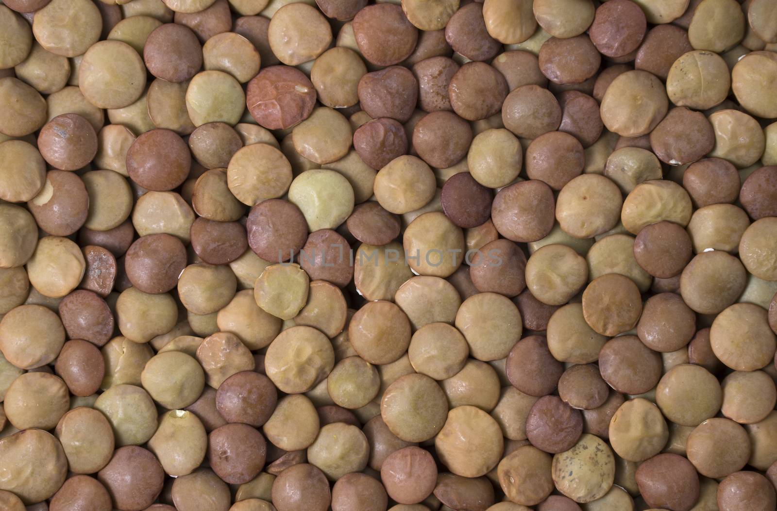 Lentils background. Lentils pattern. Natural organic lentils for healthy food.