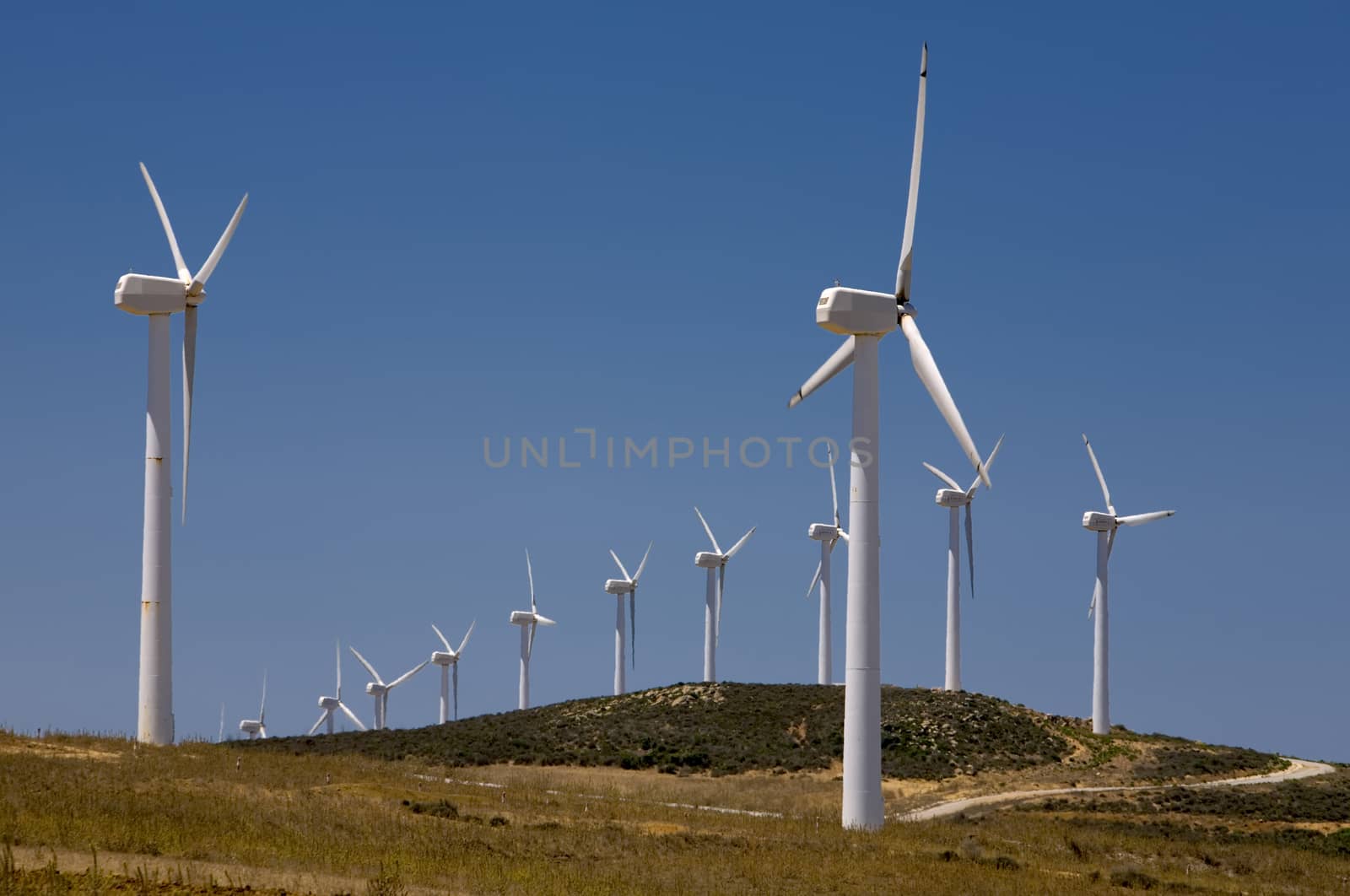 wind turbines farm. alternative energy source