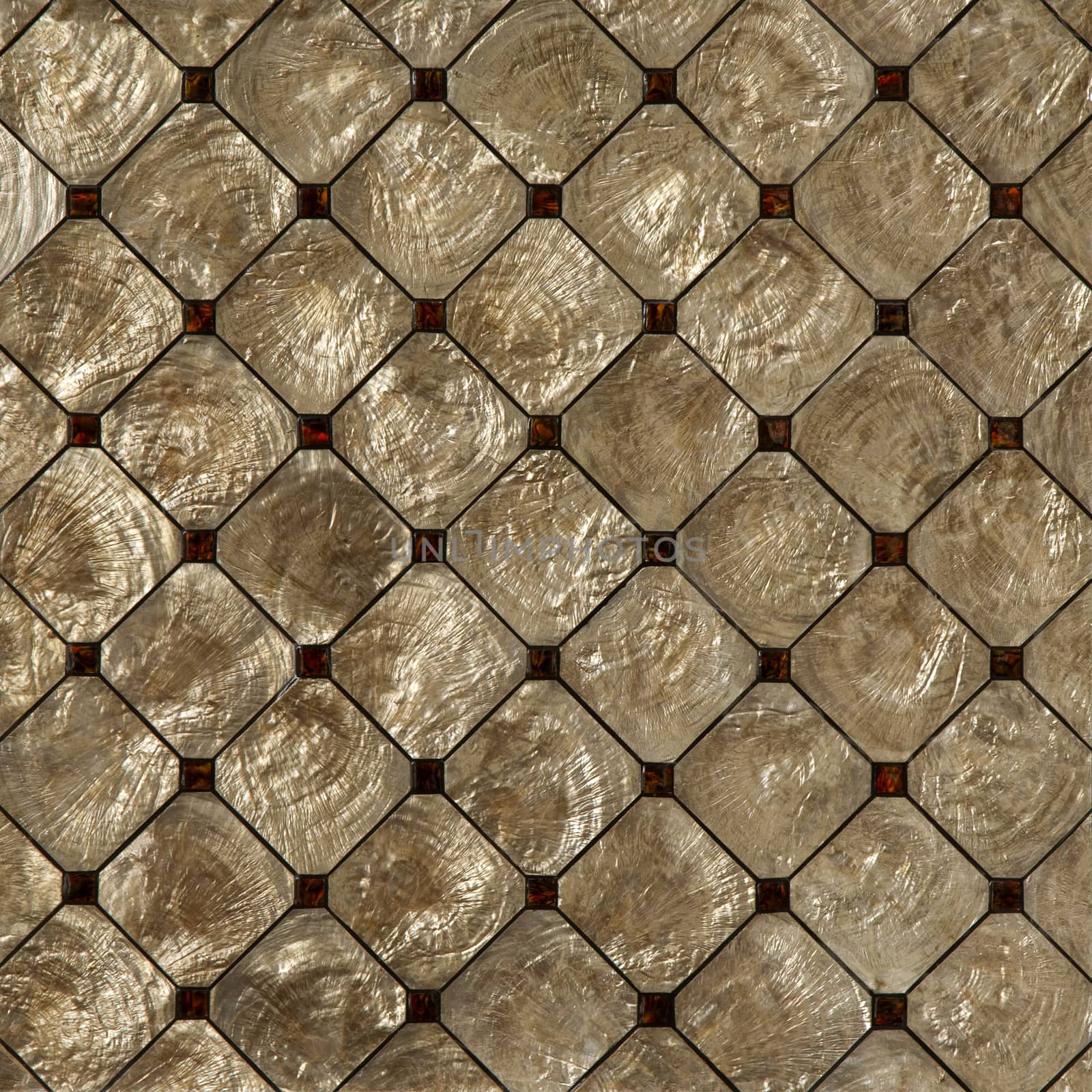 fragment of sea shell wall stucco background