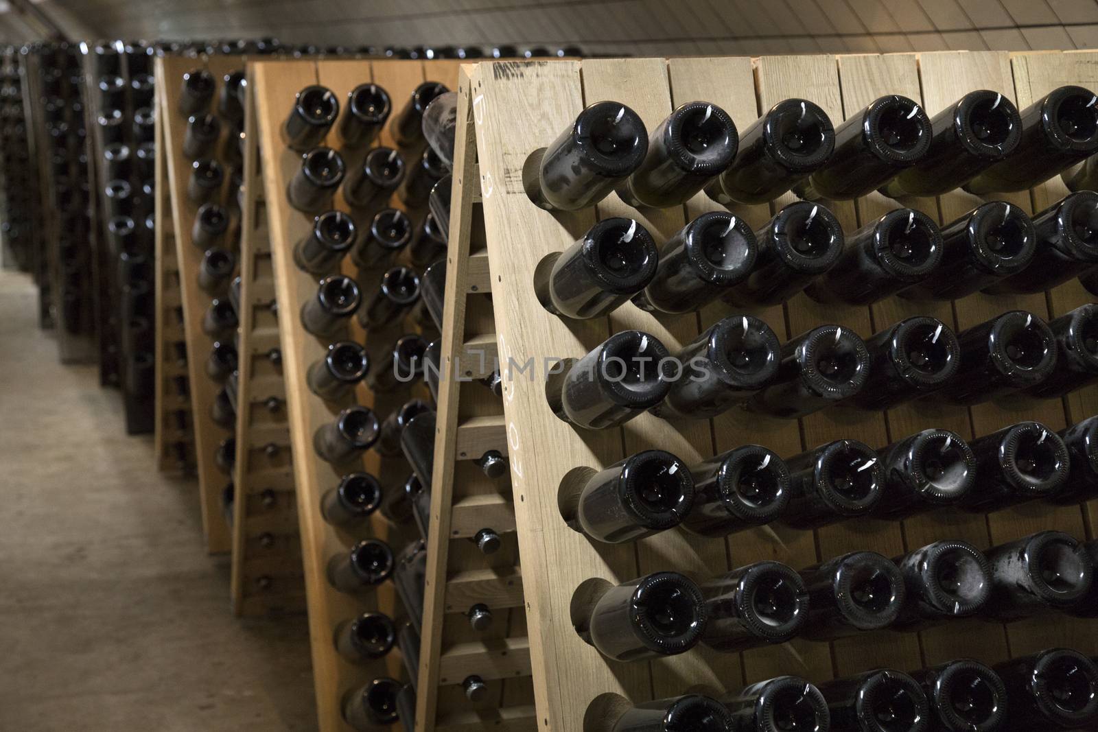Racks with bottles of sparkling wine in the basement in a winery cellar