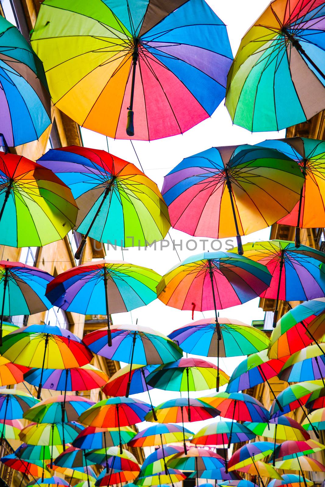 A set of colorful umbrellas or parasols covers a small alley of Bucharest