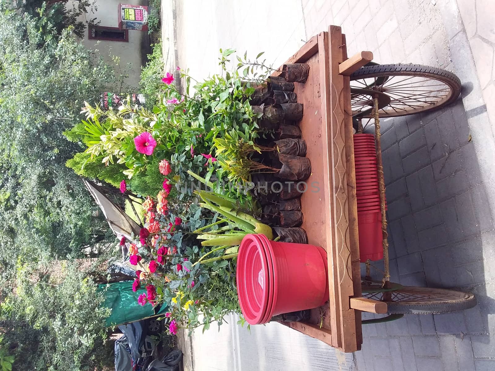 a mobile nursery garden used for marketing