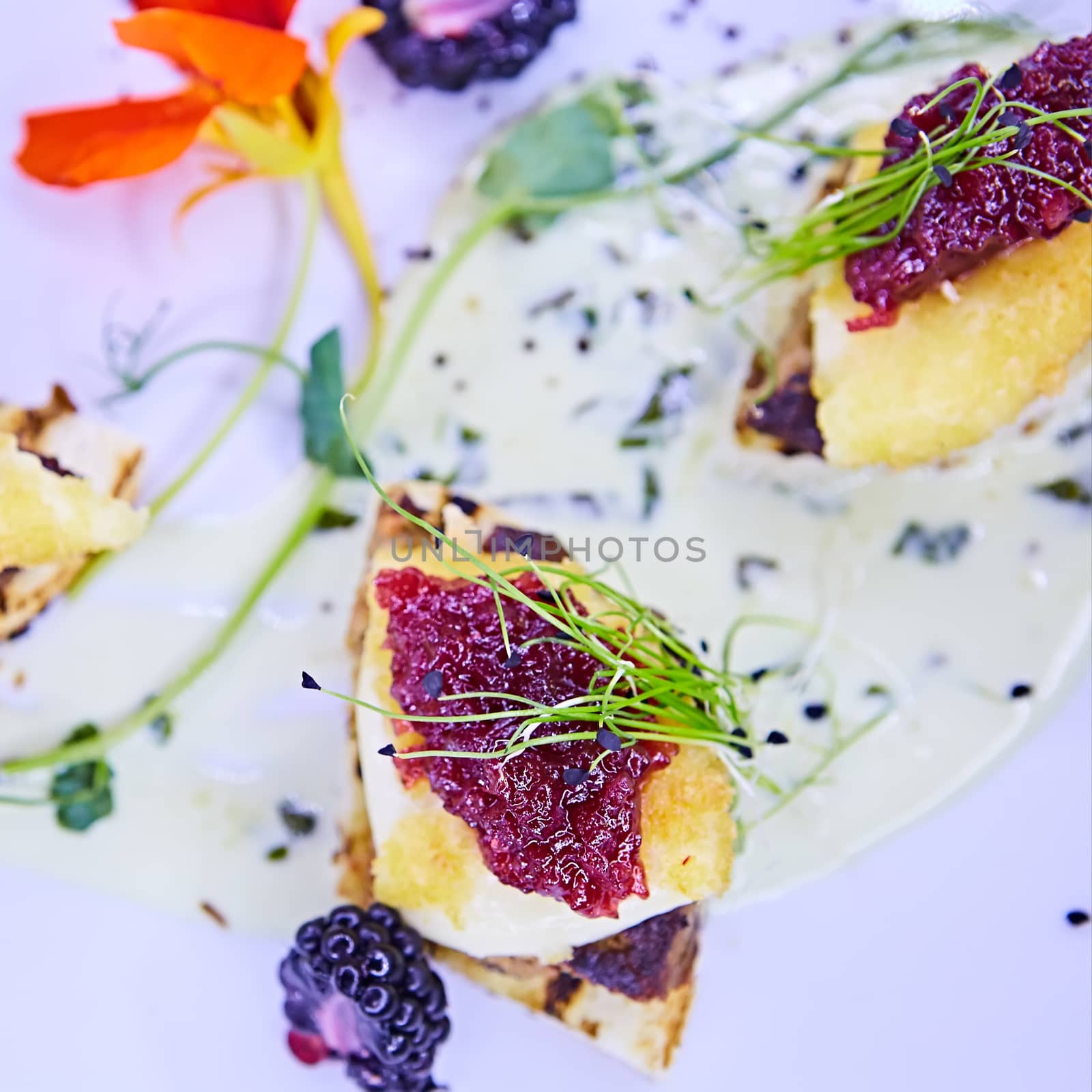 The foie gras with sauce. Shallow dof. by sarymsakov