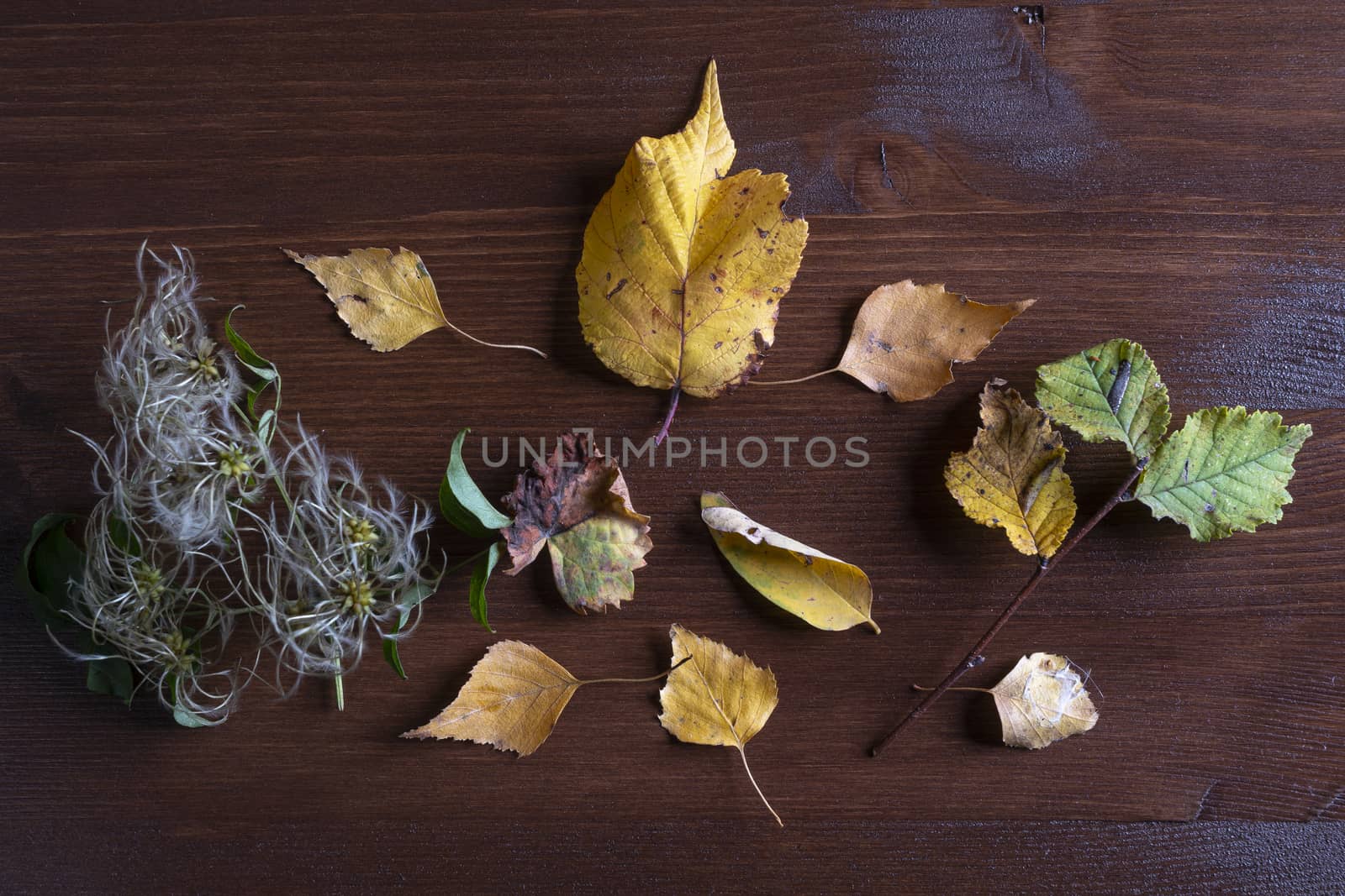 some dry leaves on a wooden table