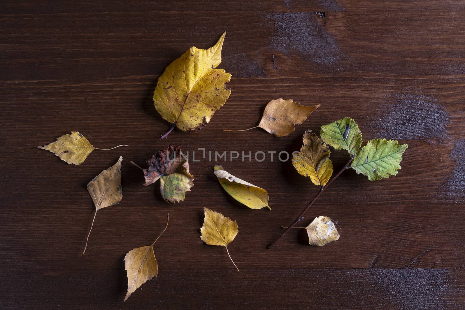 some dry leaves on a wooden table