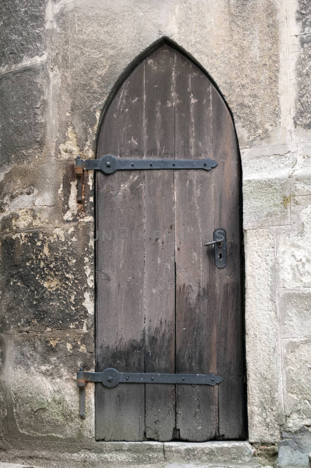 Detailed view of a medieval gothic castle door.