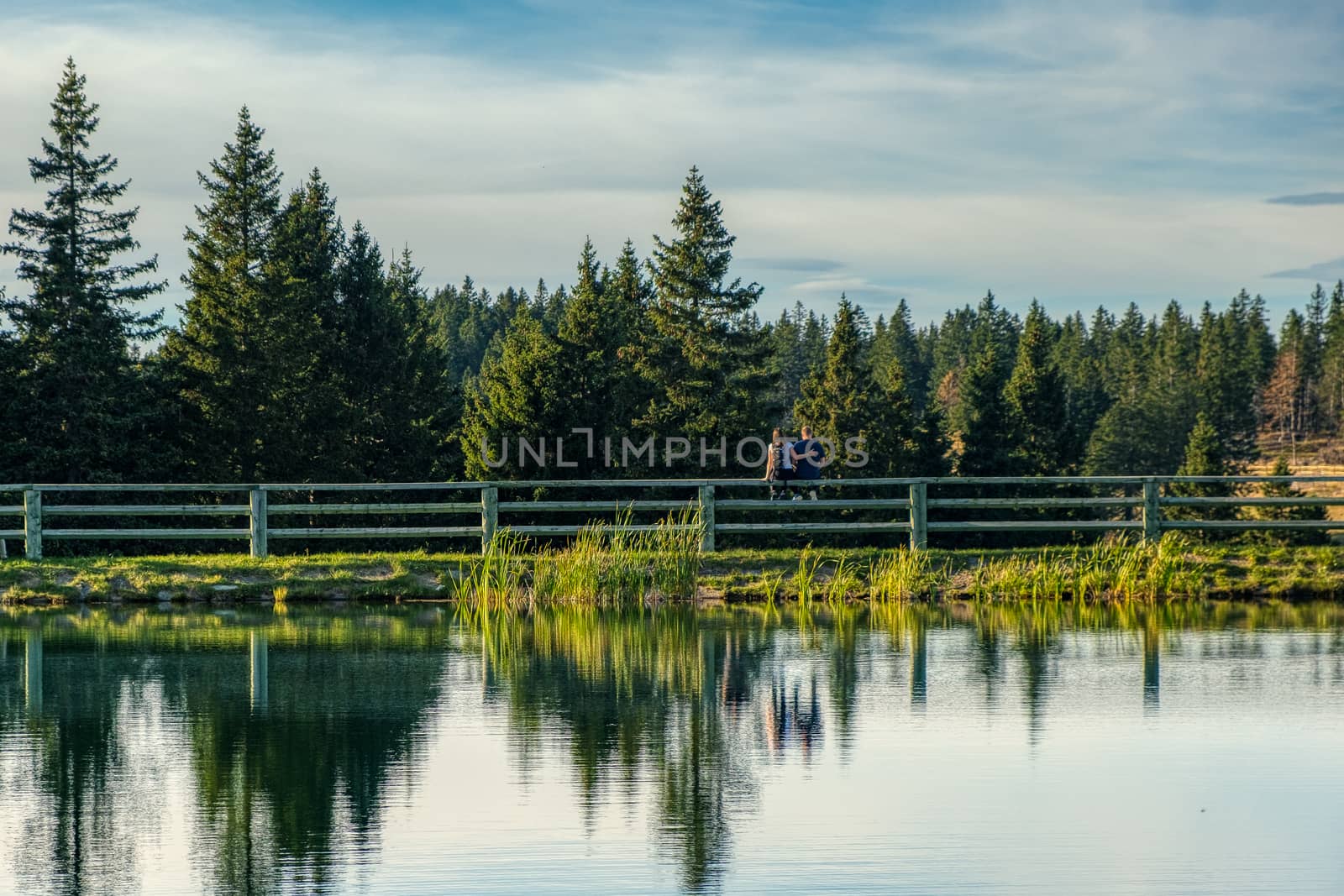 Young couple in love, unrecognizable, sitting on fence at lake, trees reflect in water by asafaric