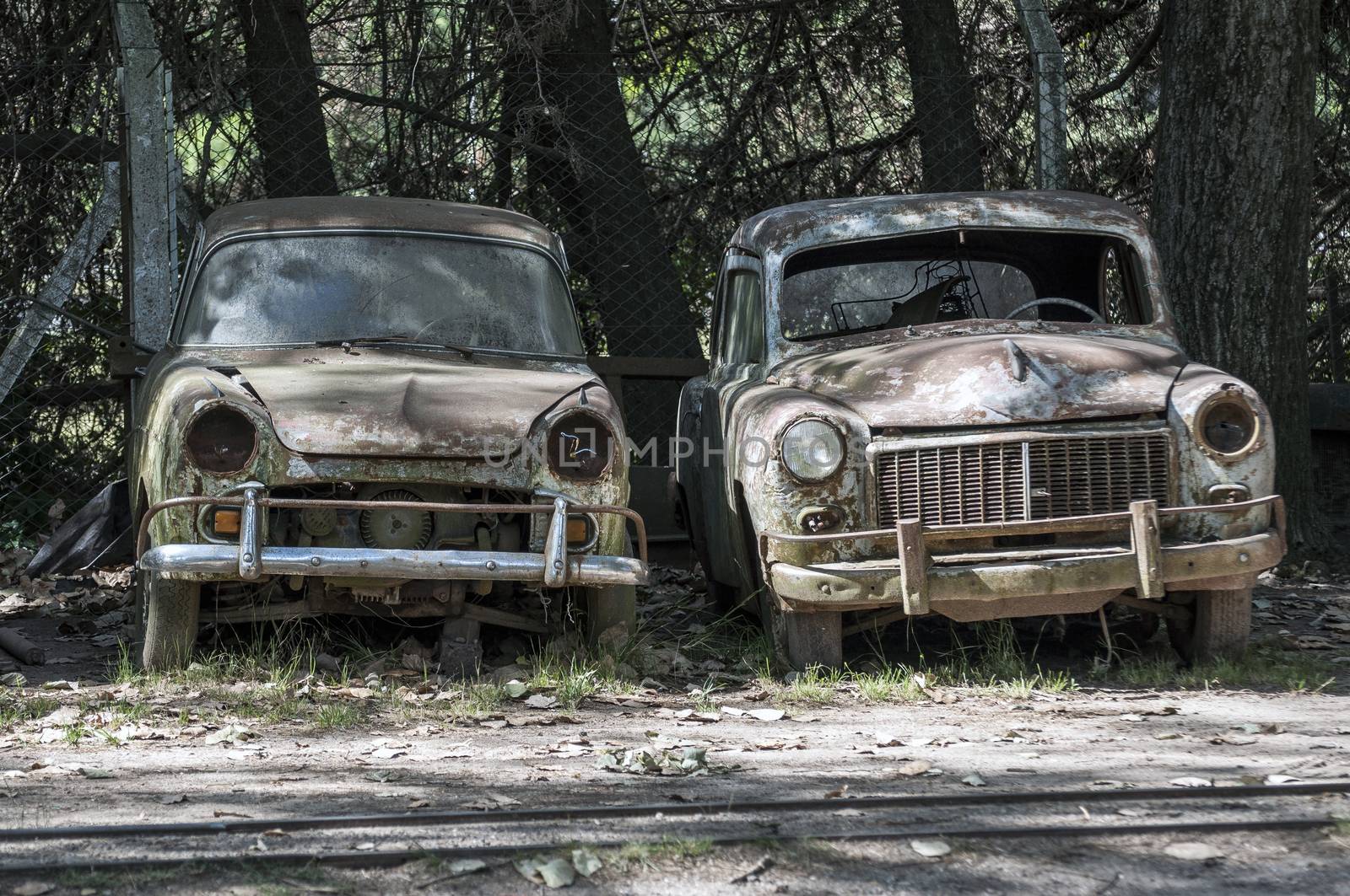 Stock image of two old, rusted, abandoned cars.