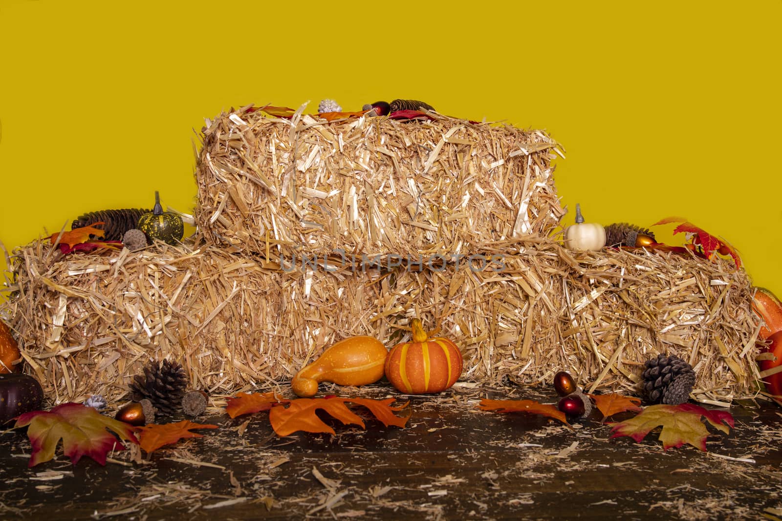 Hay bales, autumn leaves, nuts, and gourds signify that autumn is arriving.