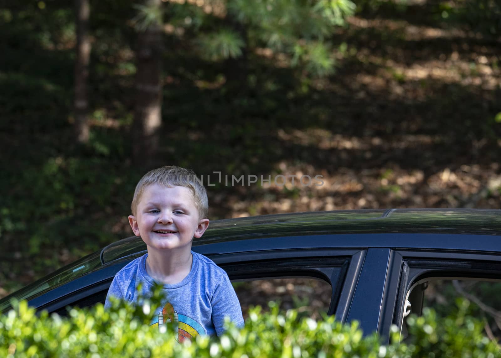 Toddler Jack stands up in car window to peer over shrubs.