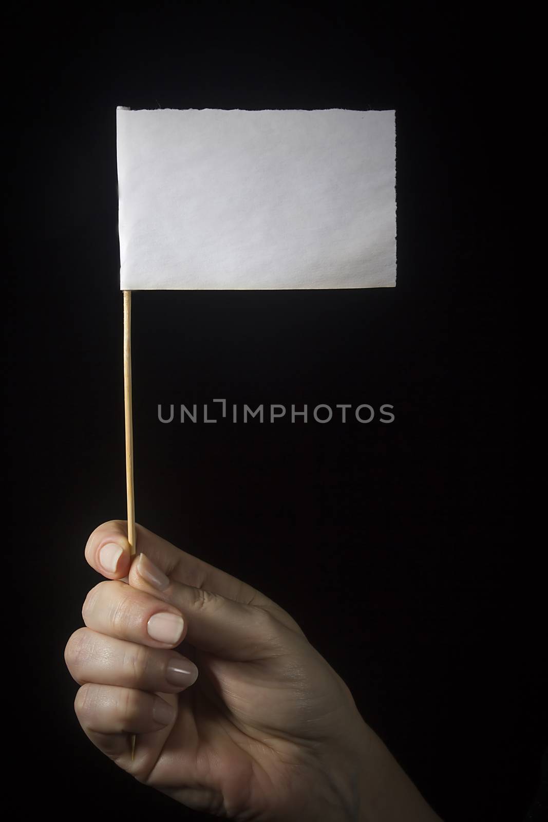 Female hand with a white flag on a black background