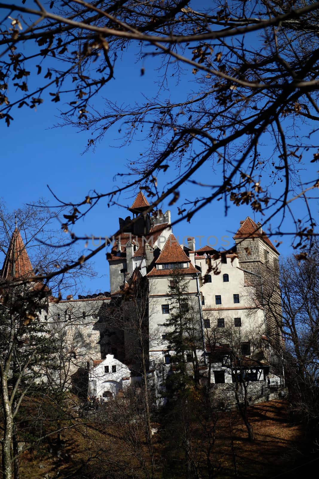 Autumn trips through the Bran-Rucăr corridor
Bran Castle in the light of autumn, history and legends.