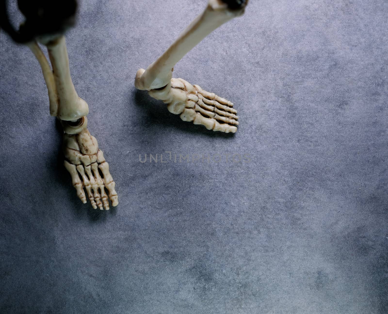 Miniature Human Skeleton Model Close Up