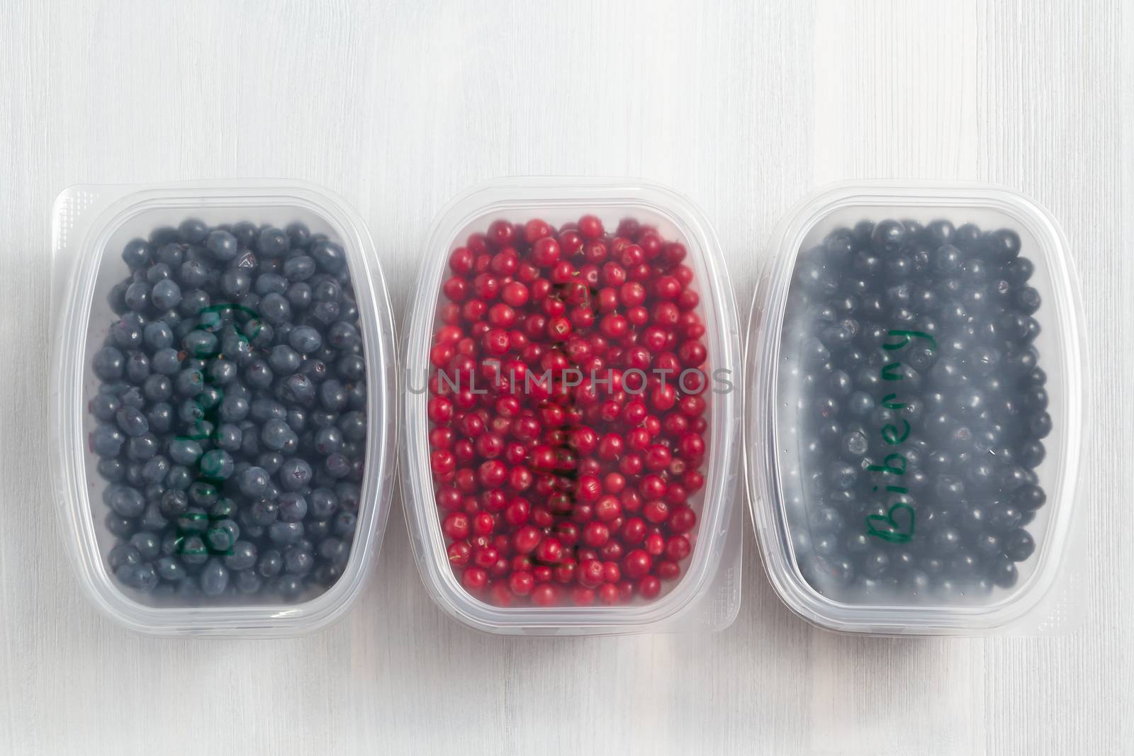 Berries laid out in containers and prepared for freezing and storage, top view.