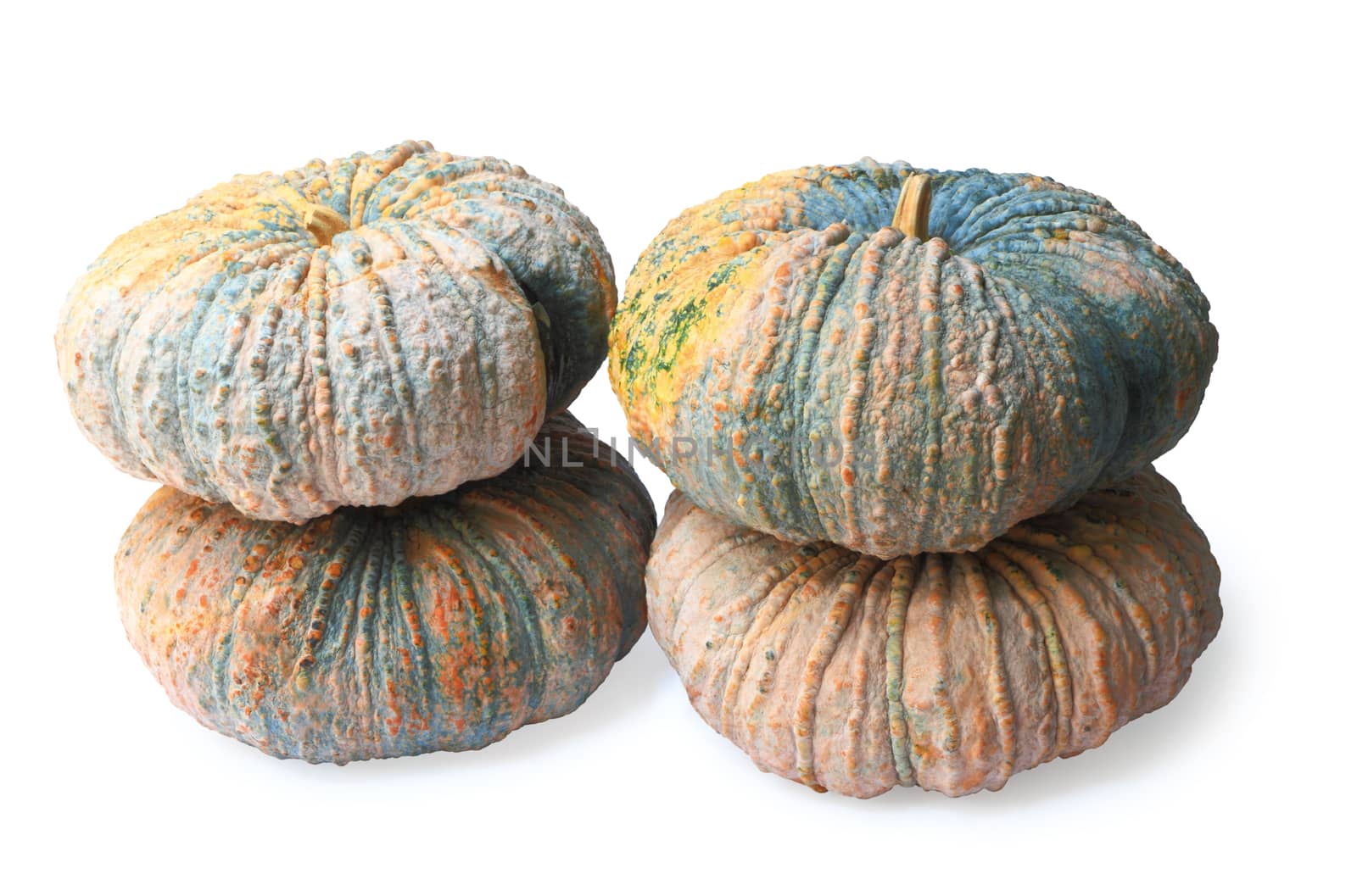 Group of pumpkin isolated on white background, clipping path.