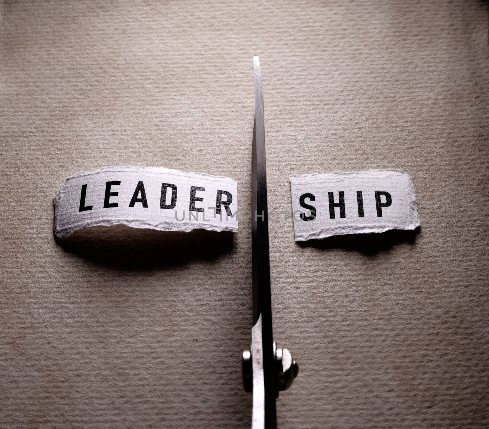 No Leadership Tag by janaka