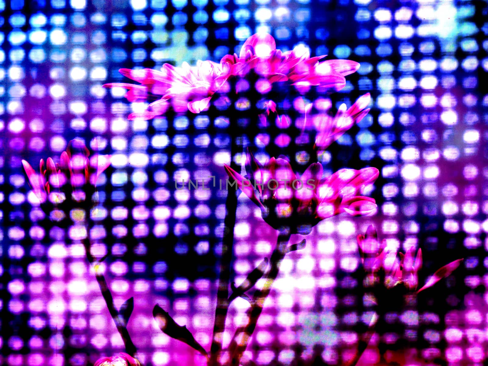 Abstract Digital Flowers Background by thefinalmiracle