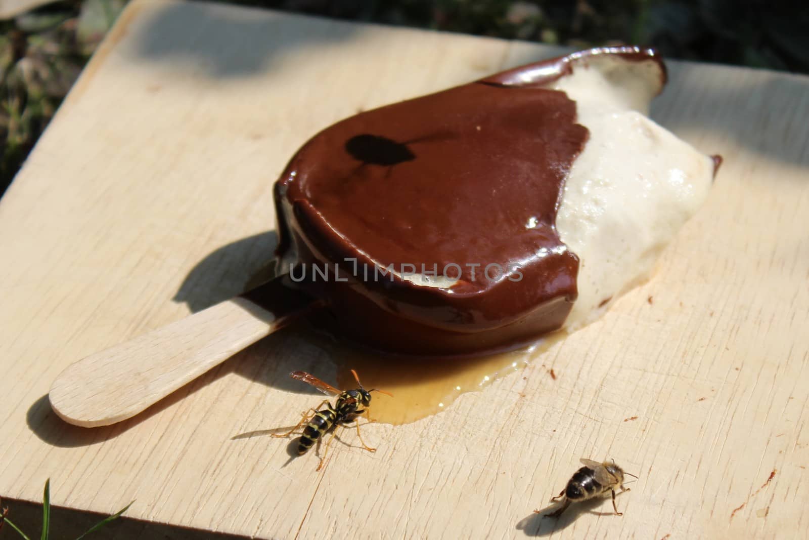 The picture shows ice cream and insects in the summer.
