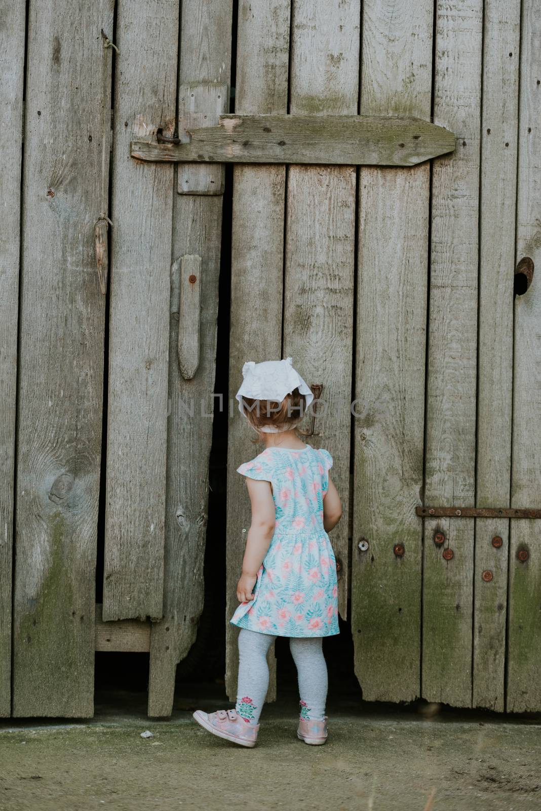 Curiuos child farmer playing in barn with cat in rustic poultry house in countryside farmyard farming lifestyle.