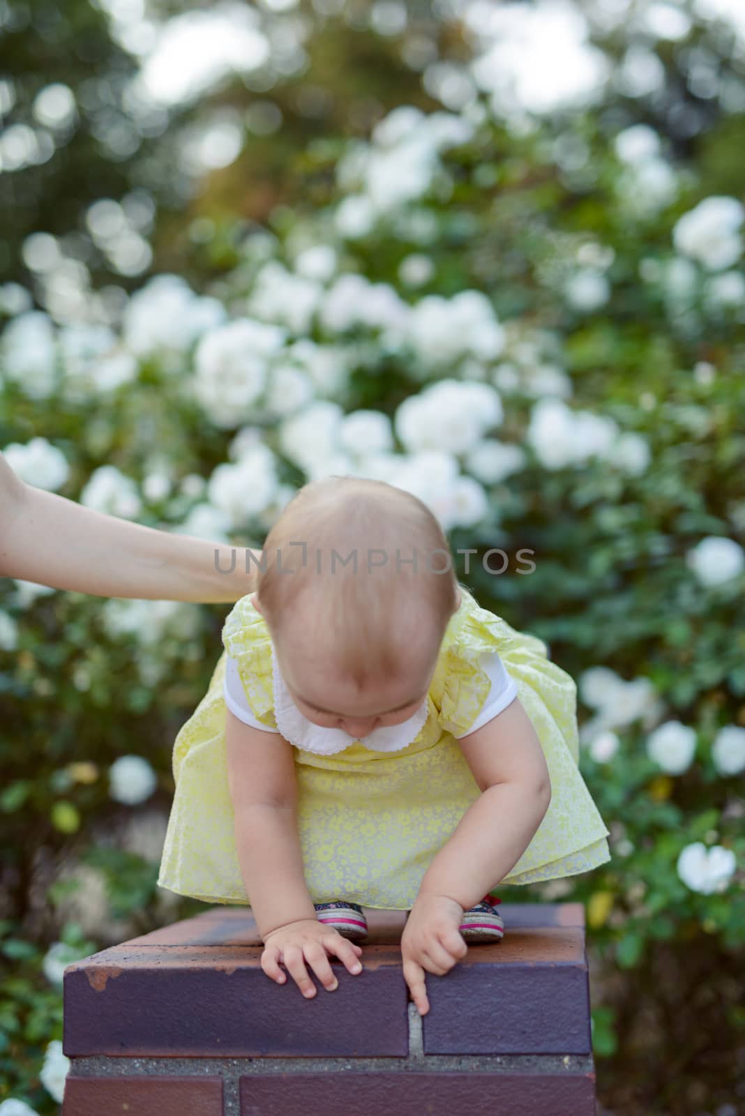 Smiling girl on the meadow looking right at camera. authentic image