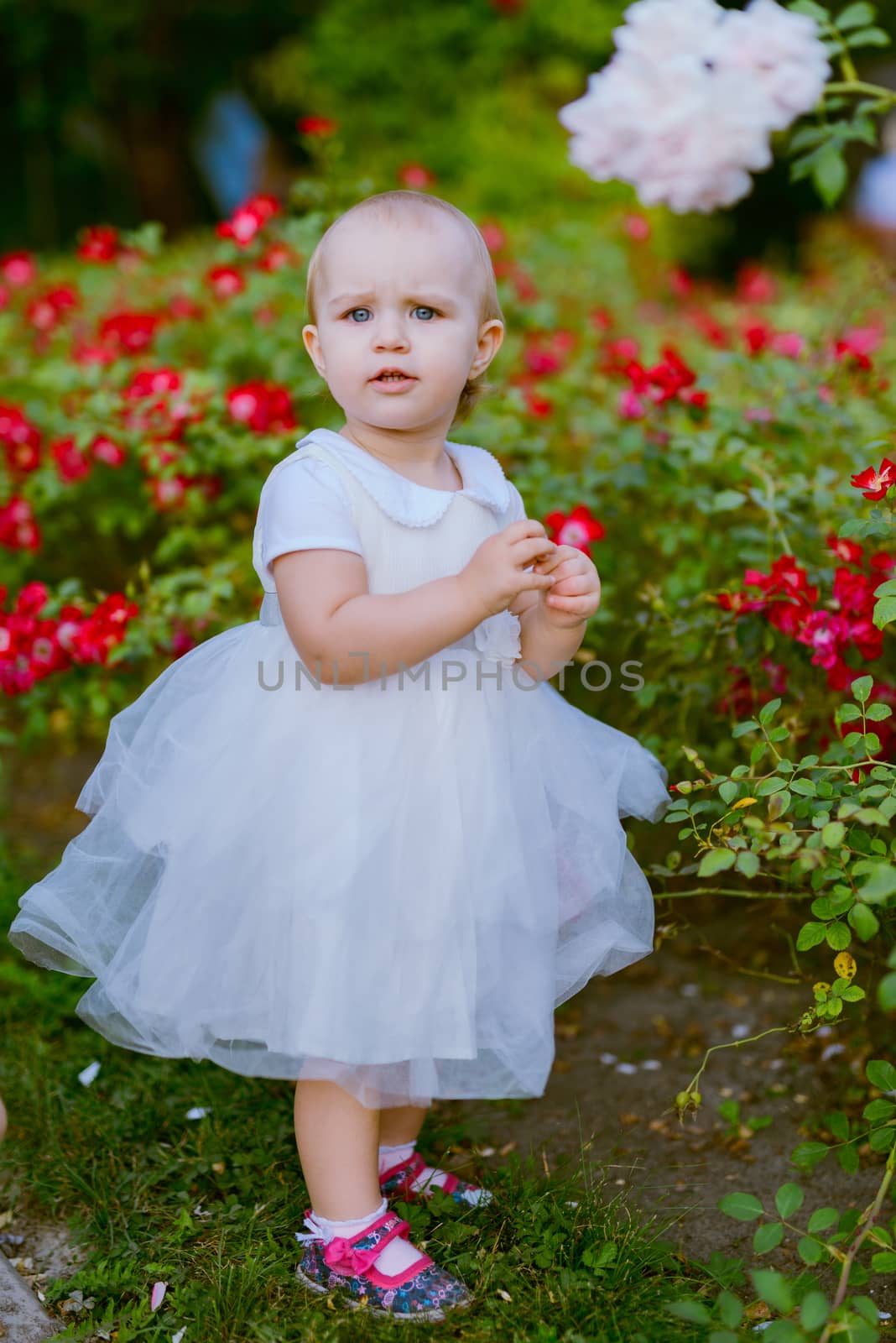 Smiling girl on the meadow looking right at camera. authentic image