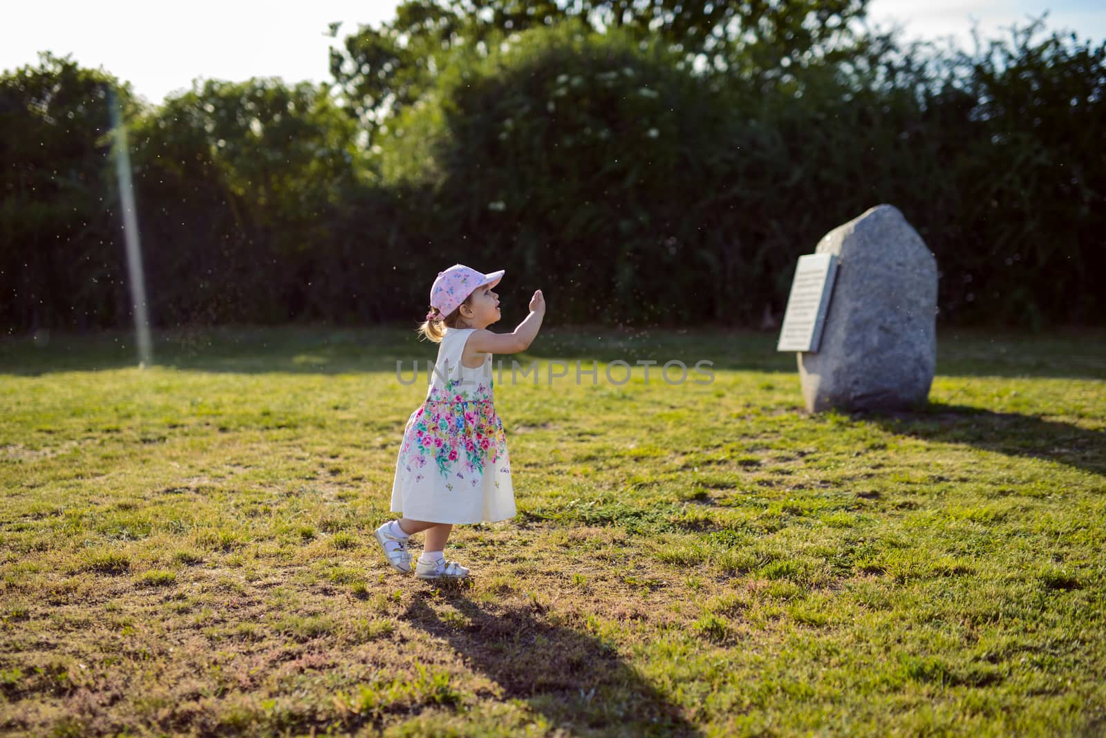 Smiling girl on the meadow looking right at camera. authentic image