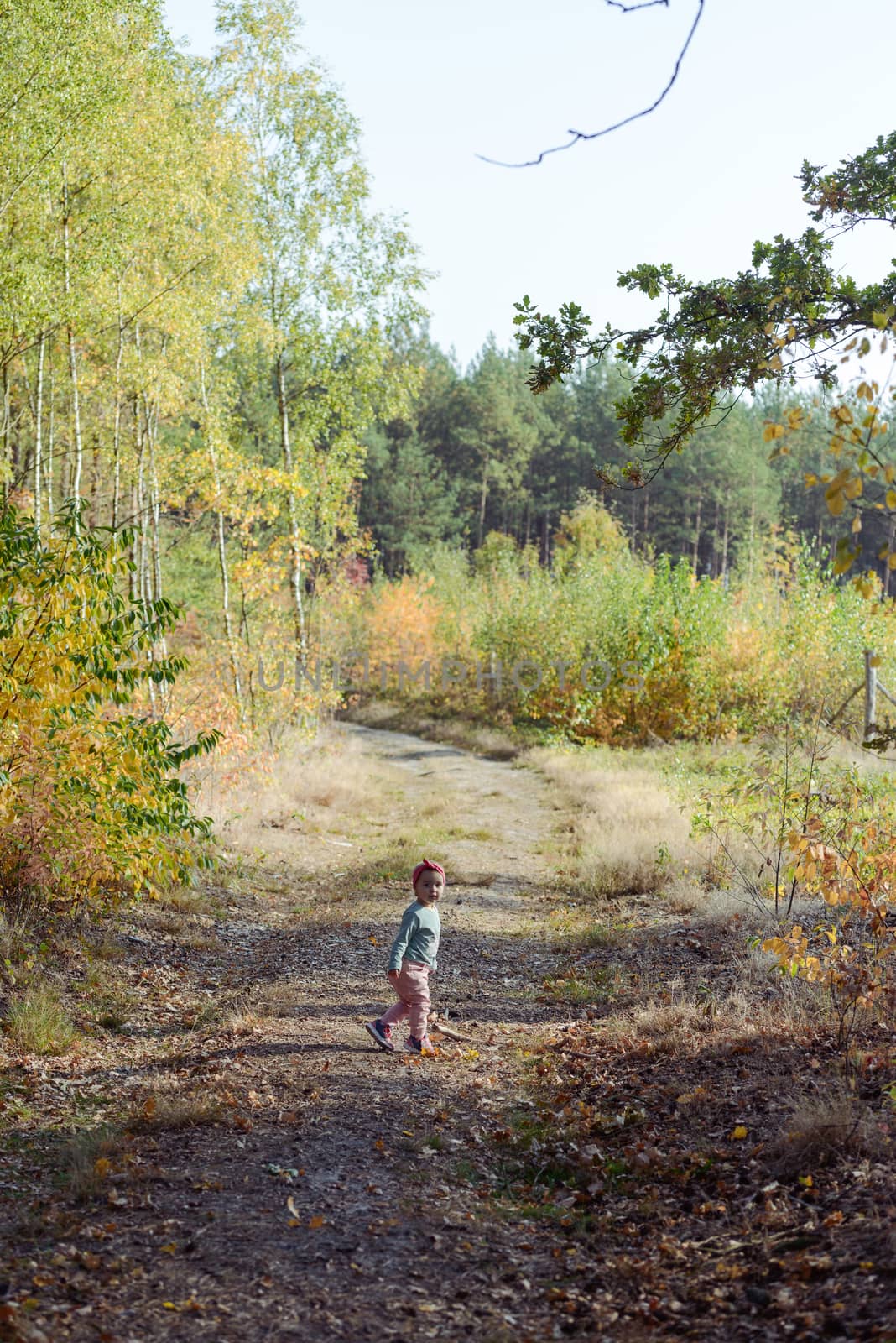 Adorable girl having fun on beautiful autumn day. authentic childhood image
