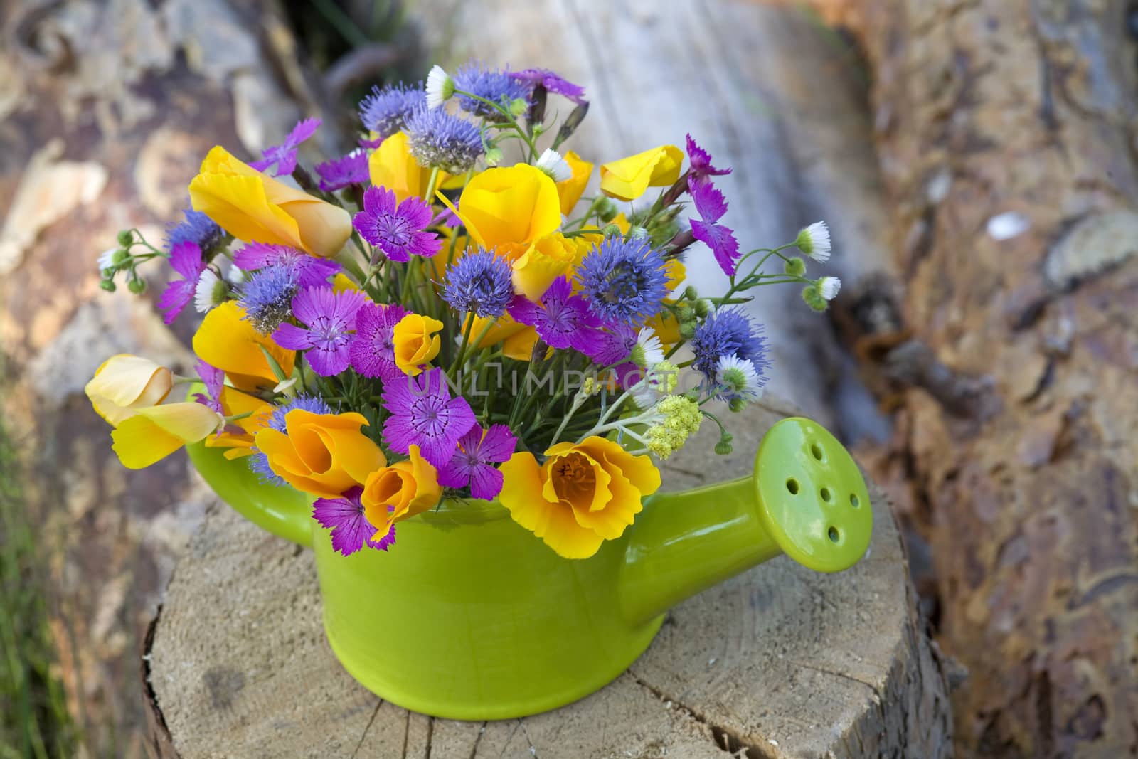 bunch of wild flowers in the  watering pot